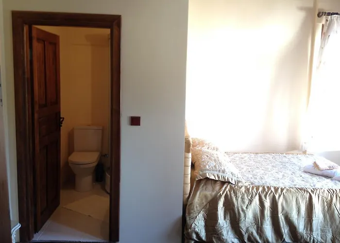 Papazin Konagi 招待所 Ayvalı