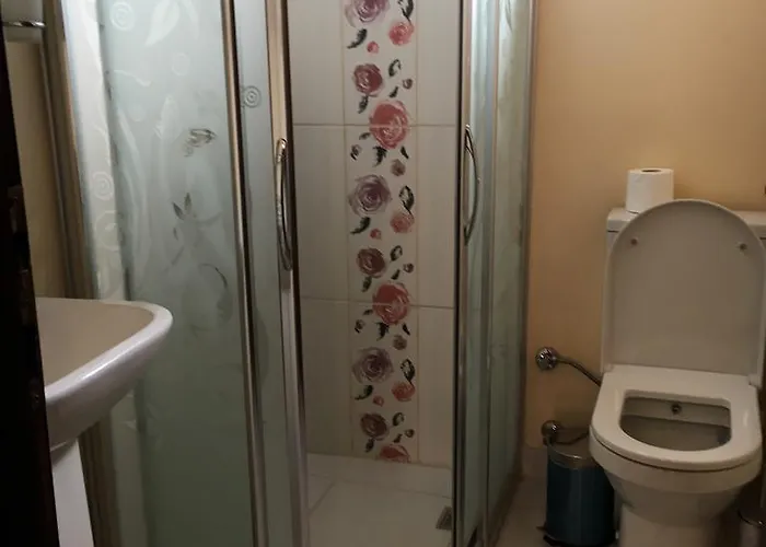 Papazin Konagi 2* Ayvalı