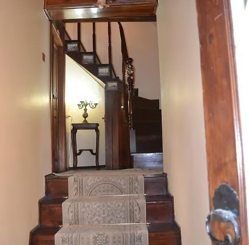 Papazin Konagi Pensión