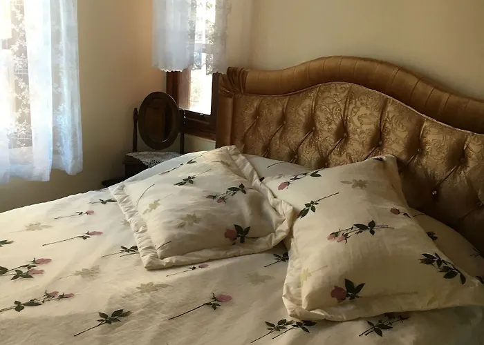 Pensión Papazin Konagi Ayvalı